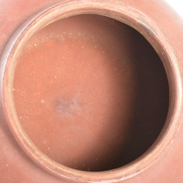 Amazon.co.jp: 中国 紫砂 朱泥 梅文 急須 茶壷 在銘 V R5756 : ホーム